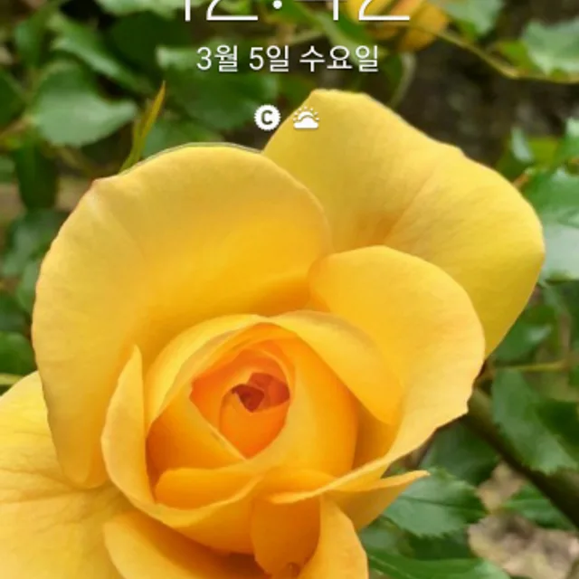 하하