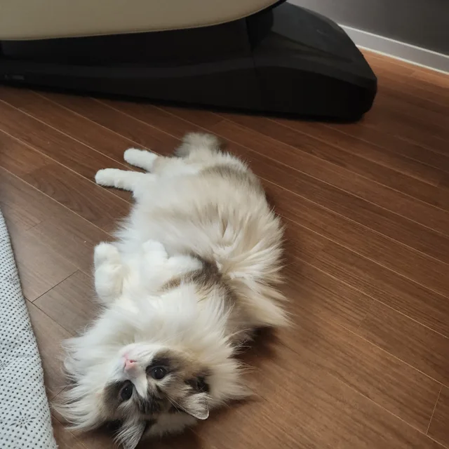 열씨미화이팅84