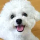 윤즈