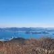 삐삐