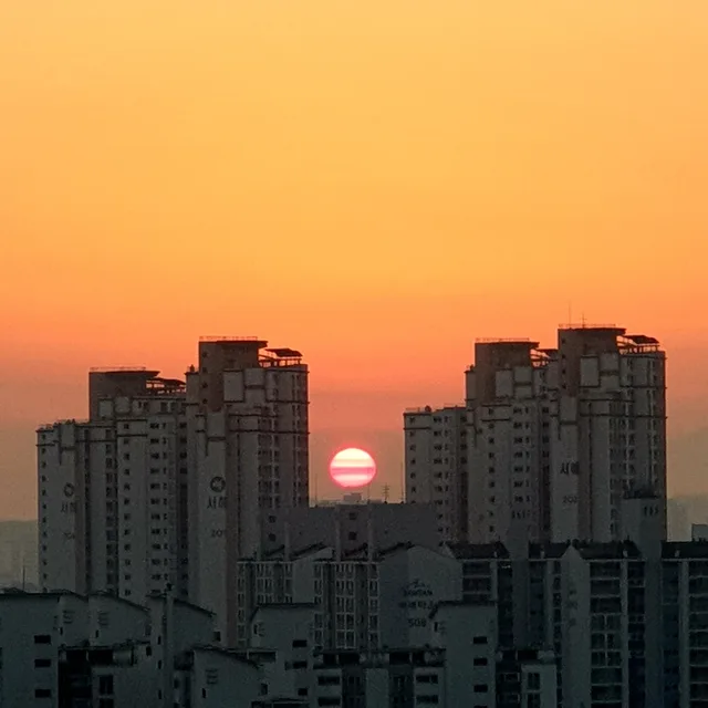 푸른뱀오복이