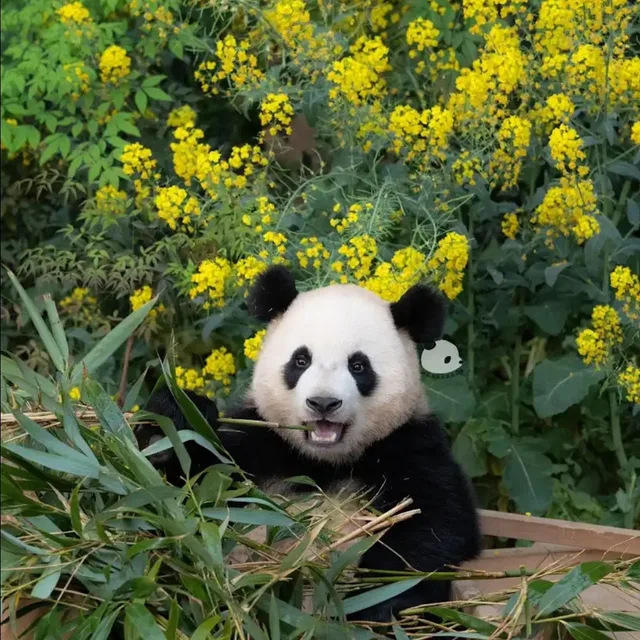 오아시스