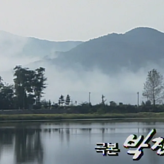3남매맘