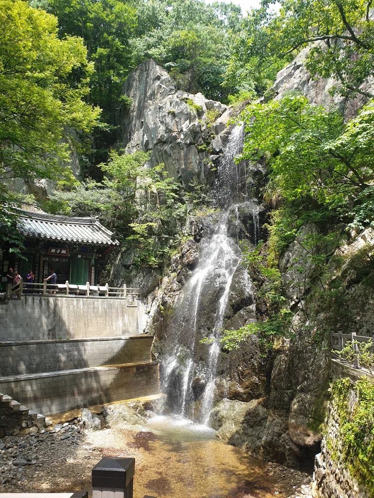 또치