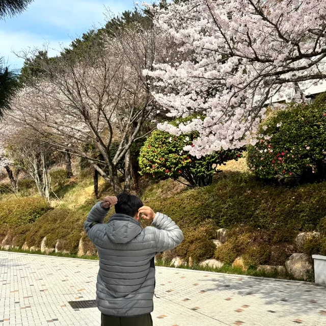 장림동이대호