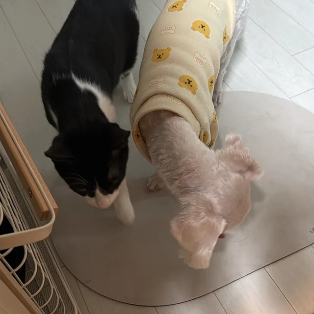 바나나