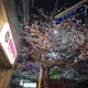장충동
