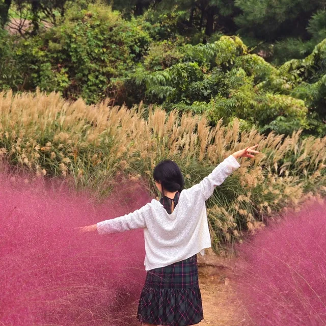 푸른자전거