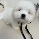 청담토박이