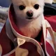 수혁
