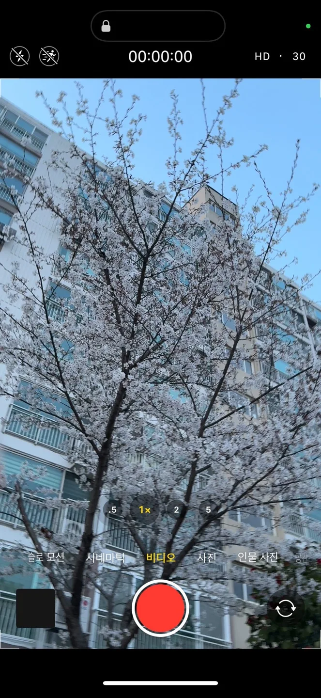 은서랑은우랑