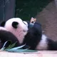 싸게판다