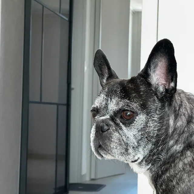 profile