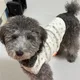 24년생청춘식