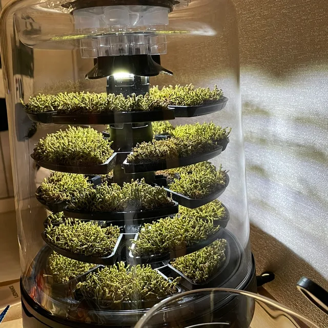 굴렁쇠