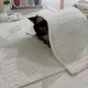 포포리