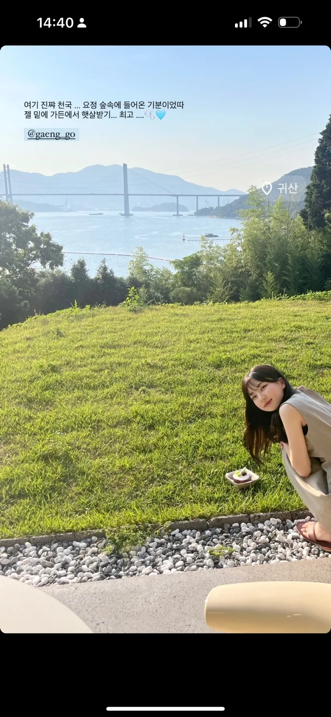 하잎보이