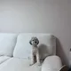 름이큐브