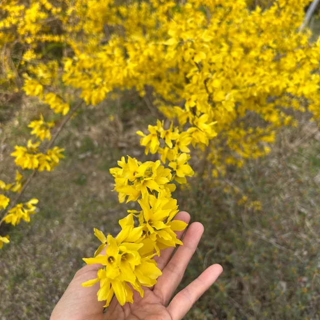 살다보면
