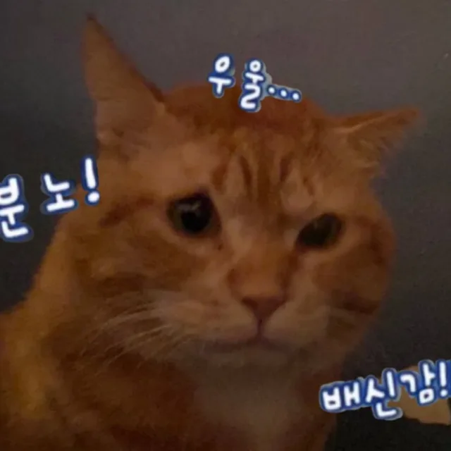 제발요