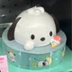 포차포차코