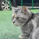 그랬던양파