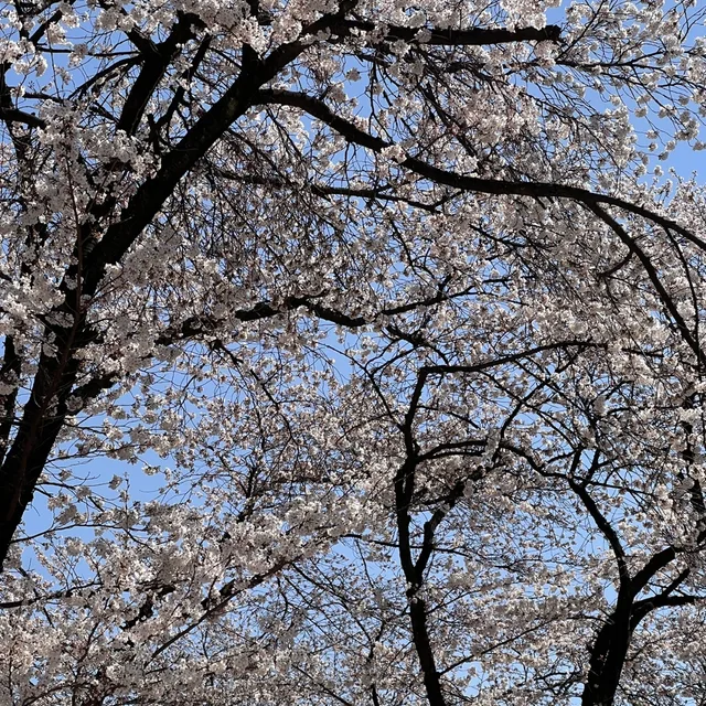 창모야