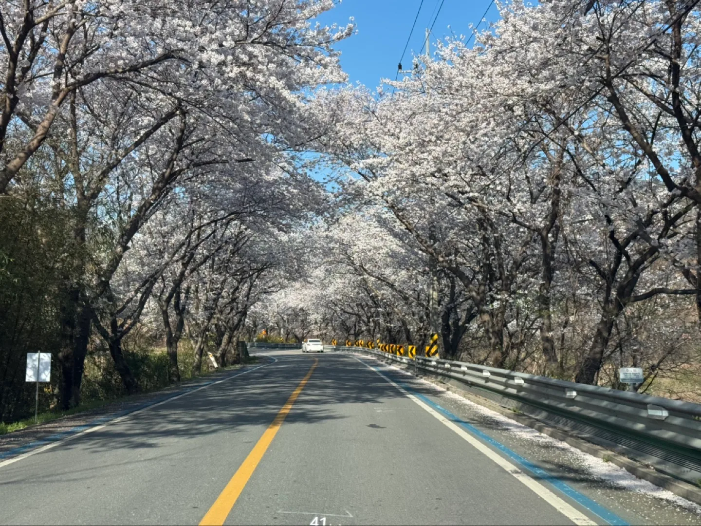 봄봄
