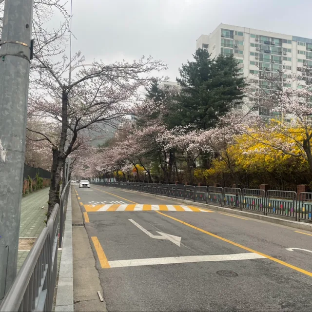 앨런