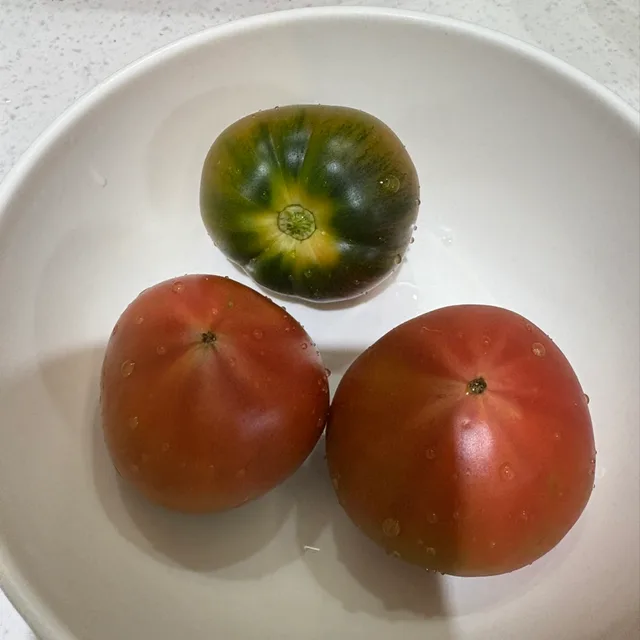 맛있는짭짤이
