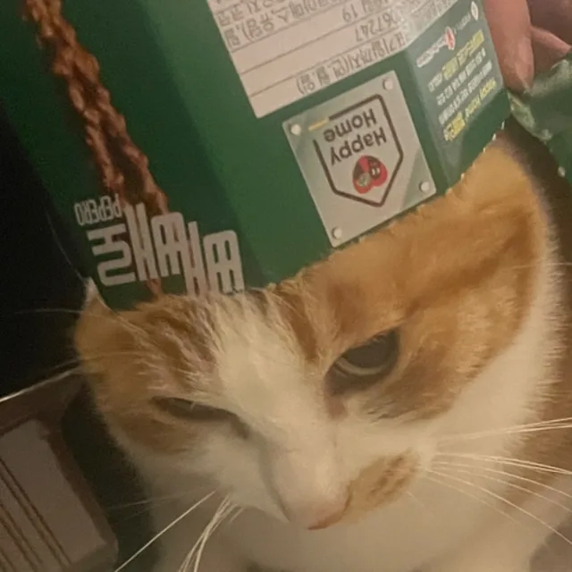 쫑쫑