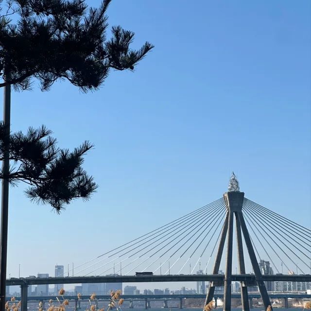 당근은캐럿