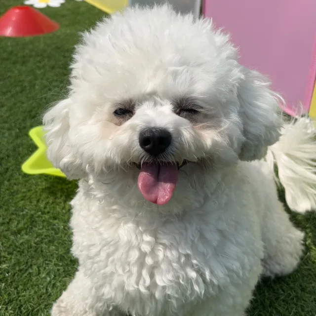 뭉실뭉실