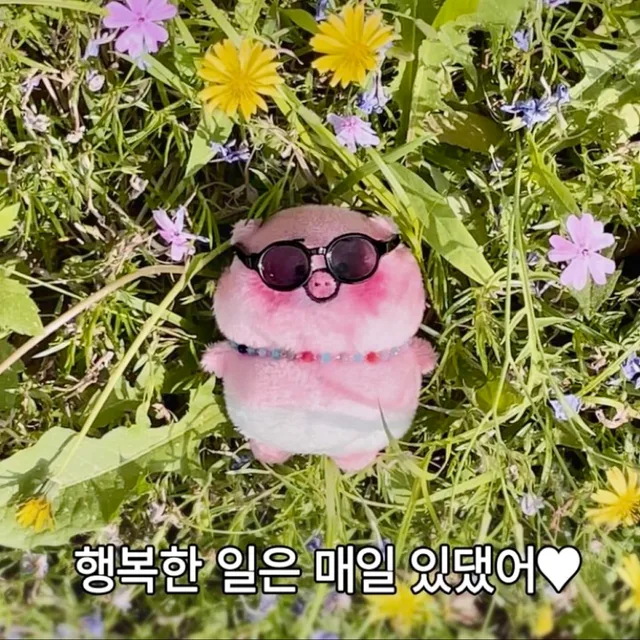 몽글몽글