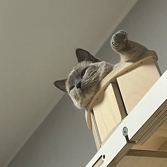 하늘