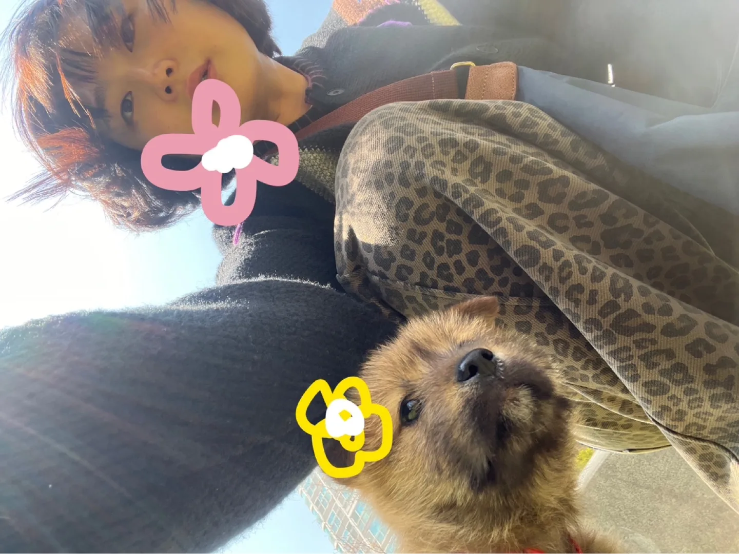 꼽냐
