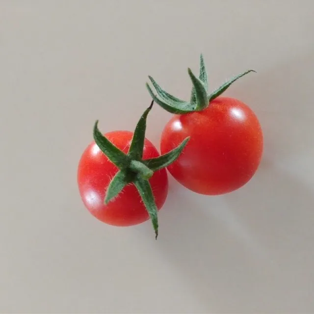 팈코