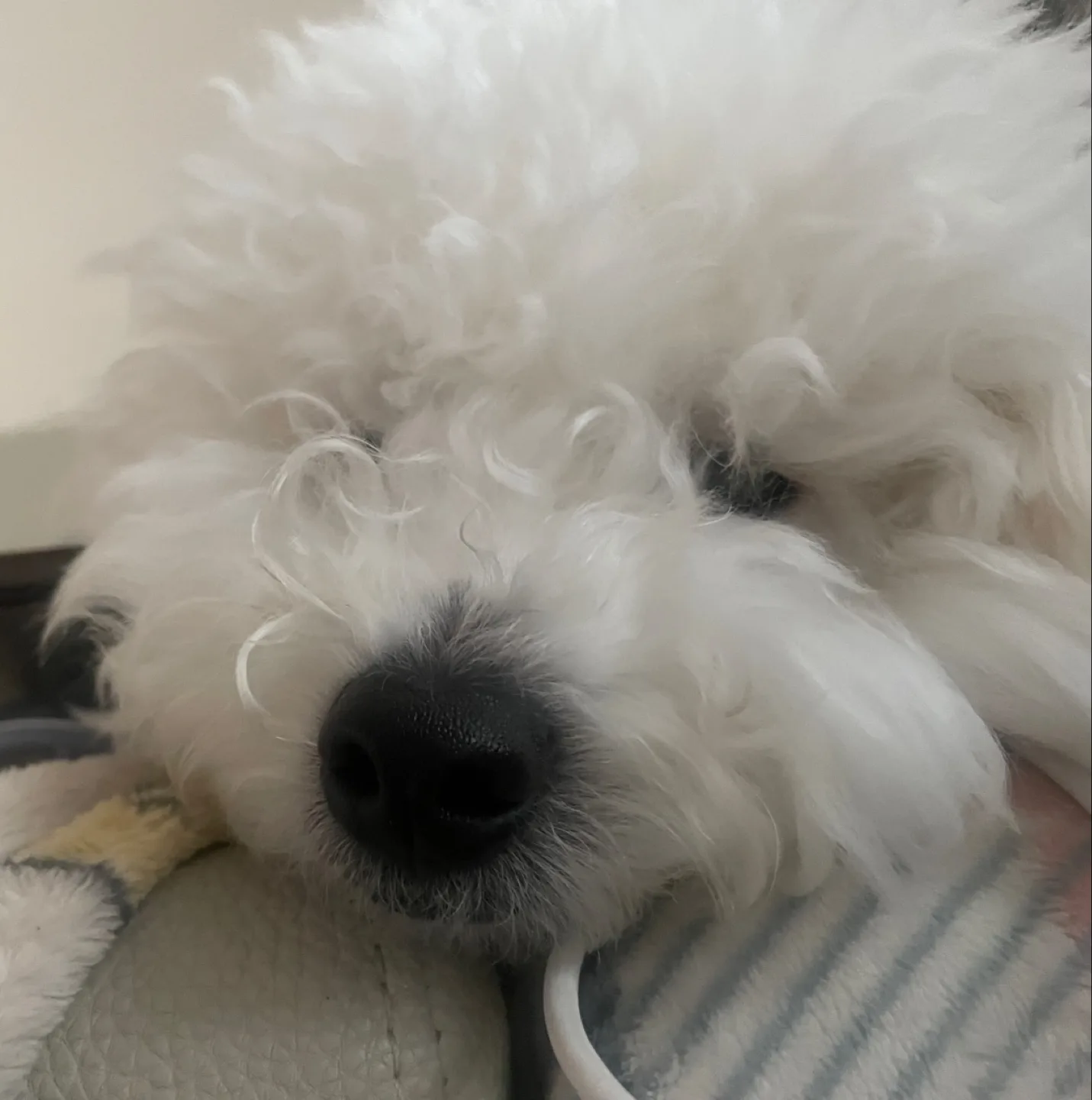 춘덕창