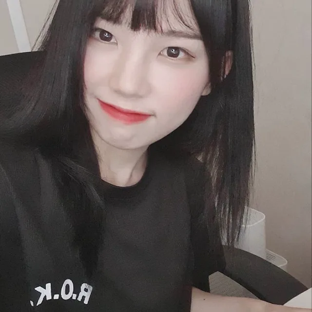 플라톤의이상주의