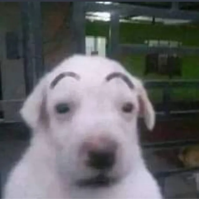 반만맞아