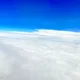 Cali