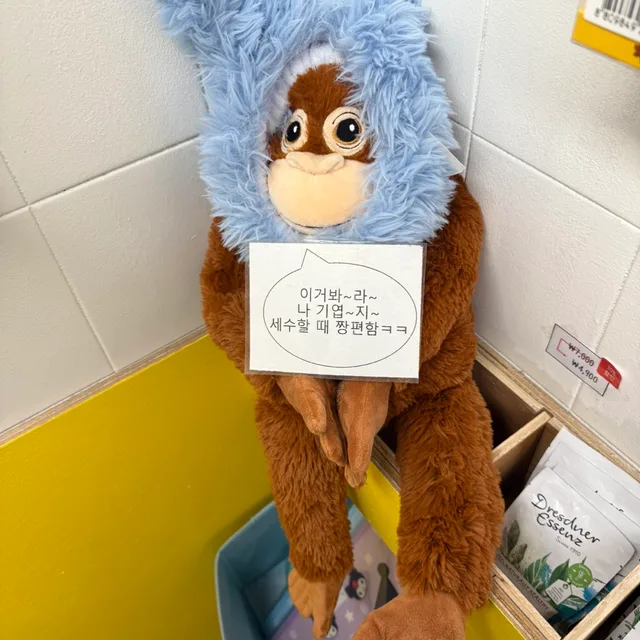 숭이인사드립니다