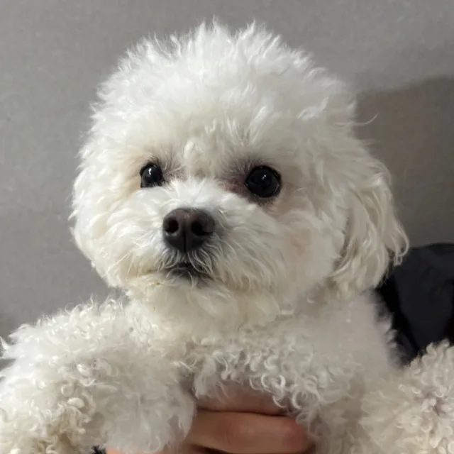 우유누나
