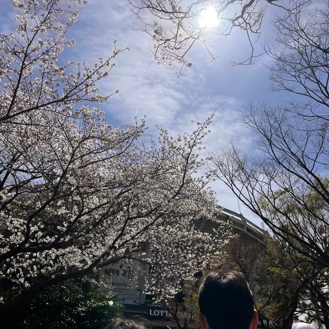 profile