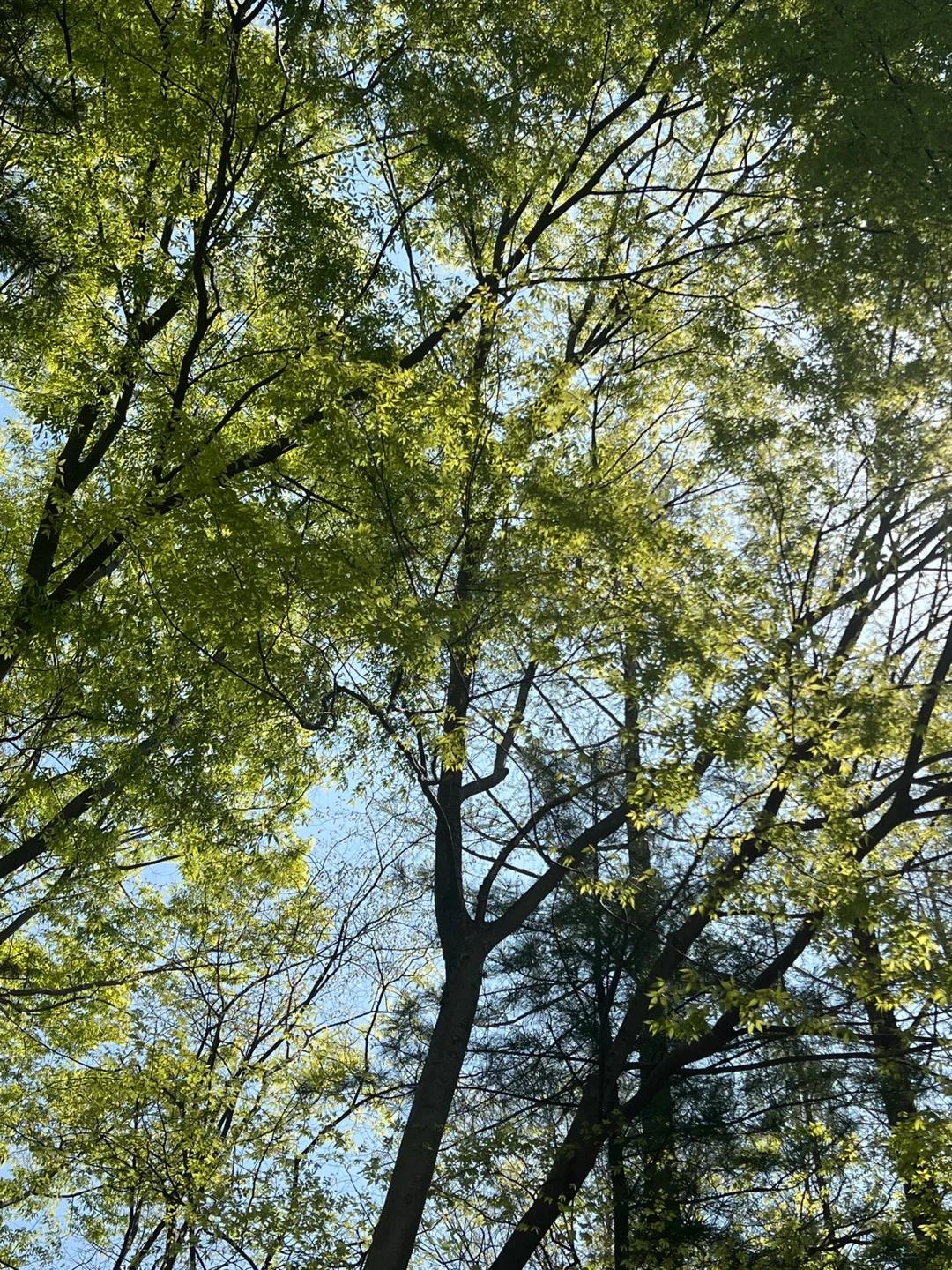 더워라