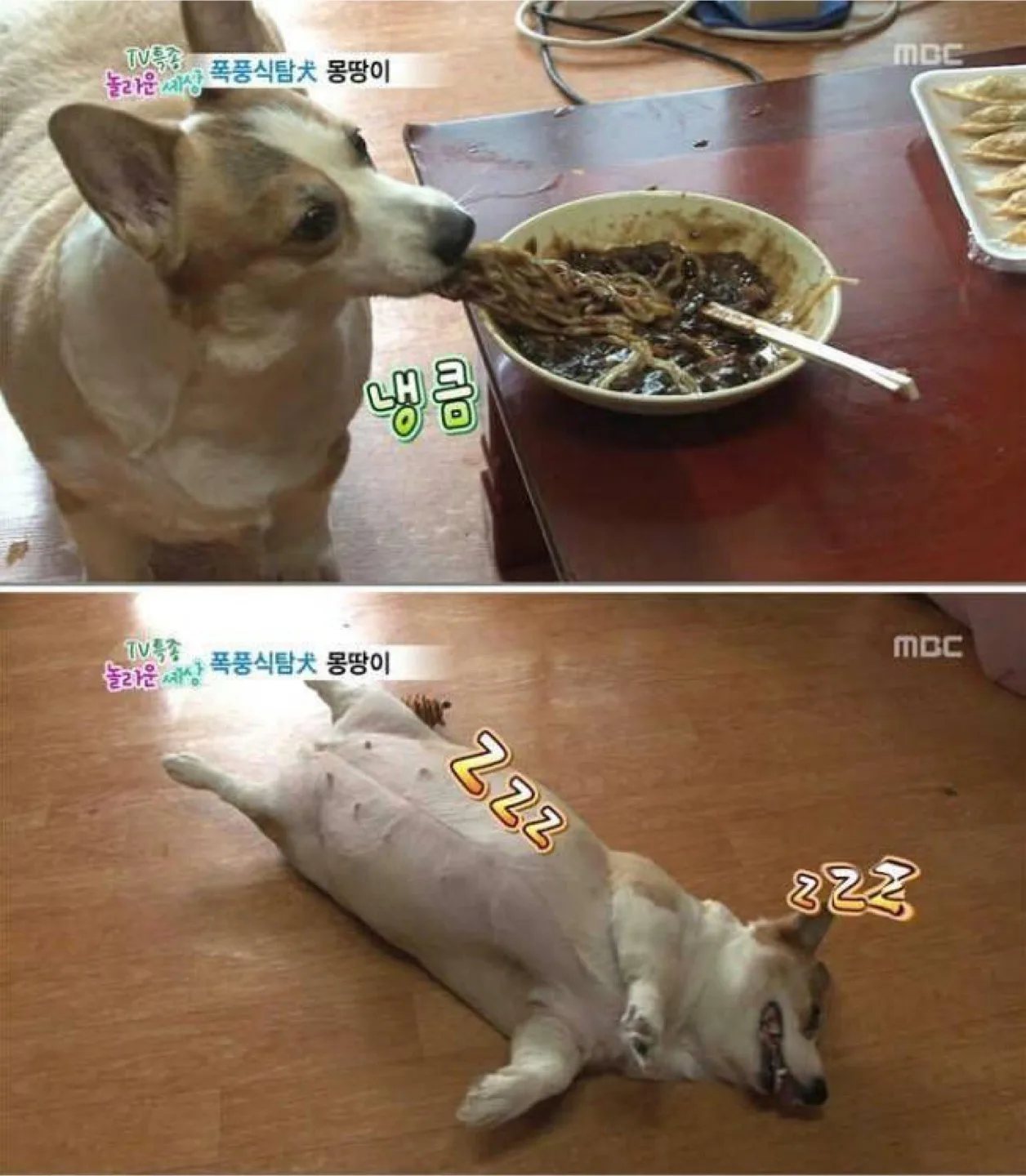 앙제