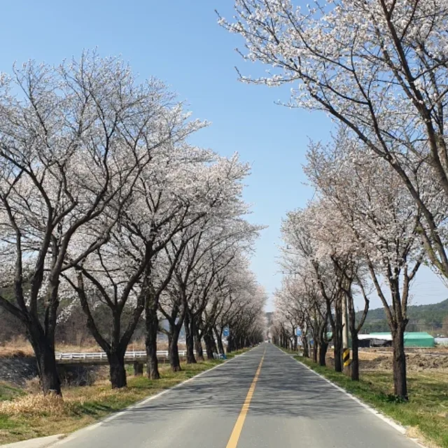 하루하루건강하게살기
