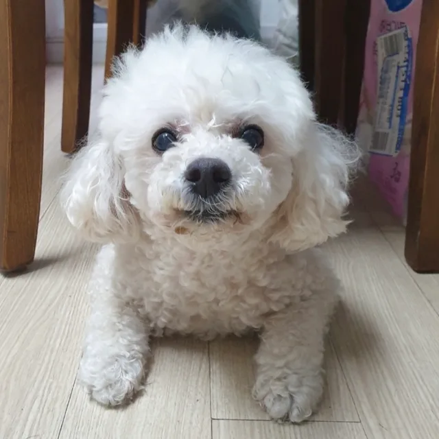 밀리멈