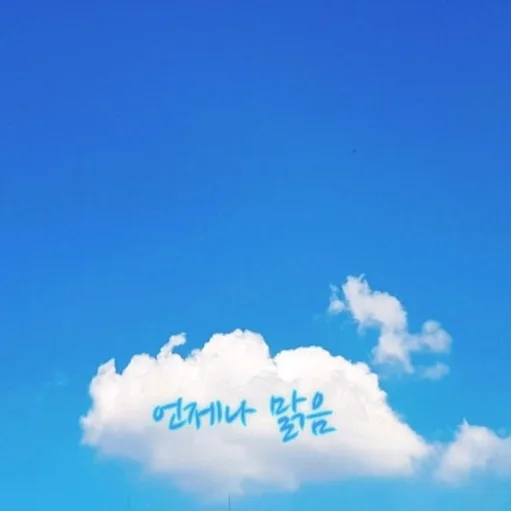 조이