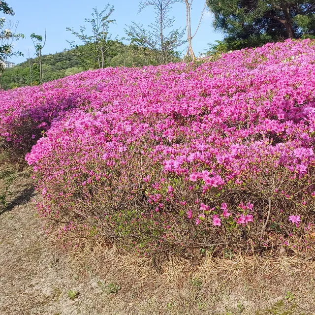동산의샘